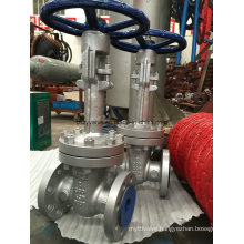 Low Temperature Lcb Body Extended Stem Gate Valve (DZ41H-300LB-2")